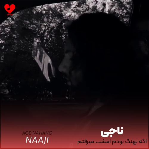 دانلود آهنگ اگه نهنگ بودم امشب میرفتم ساحل از ناجی